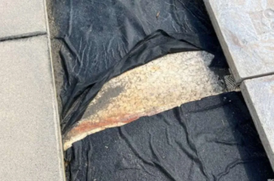 Florida's #1 Roofing & Waterproofing Experts