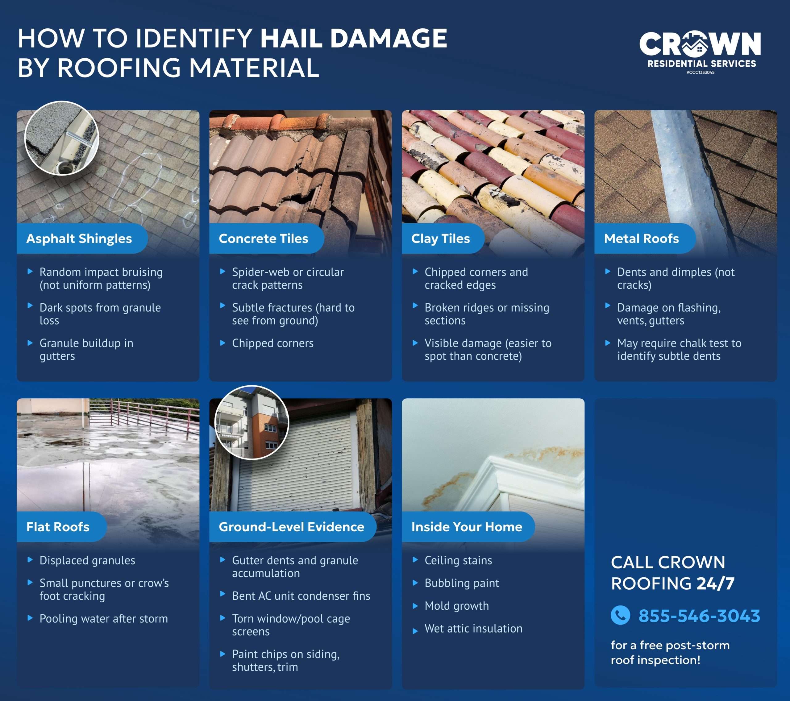 An infographic showing real examples and ways to identify hail damage on all common roofing materials: asphalt shingles, concrete tiles, clay tiles, metal roofs, flat roofs, plus ground-level and interior home damage signs.
